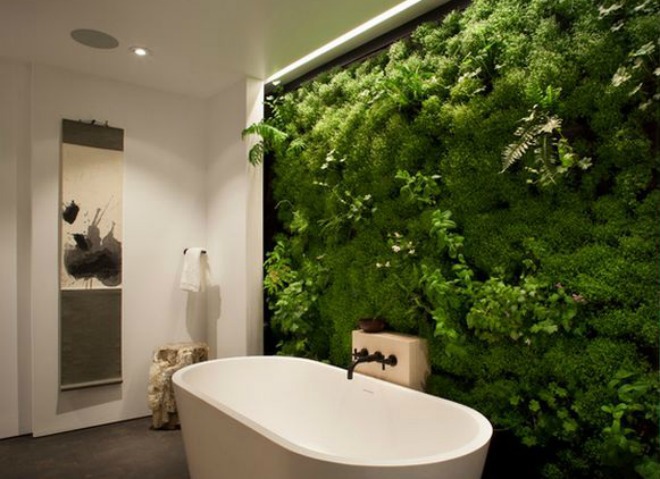 Thanh lọc không khí phòng tắm với các loại cây hữu ích