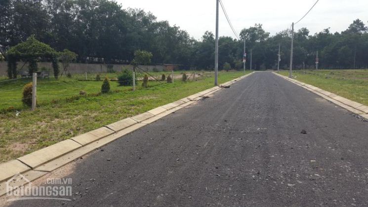 Cần bán gấp đất Đồng Nai