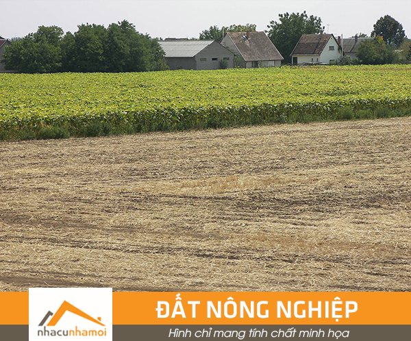 Bán đất diện tích lớn 4.900m2 mặt tiền đường Đào Si Tích giá chỉ 4,5 triệu/m2, Phước Lộc, Nhà Bè