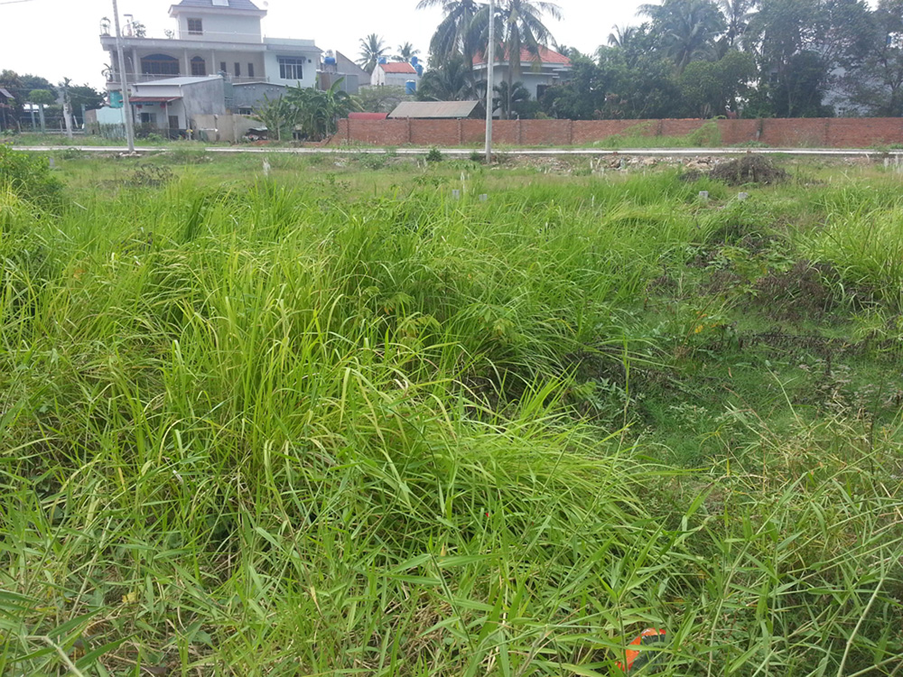 Đất cực đẹp đất thổ cư giá rẻ, gần UBND Thạnh Xuân, Q.12