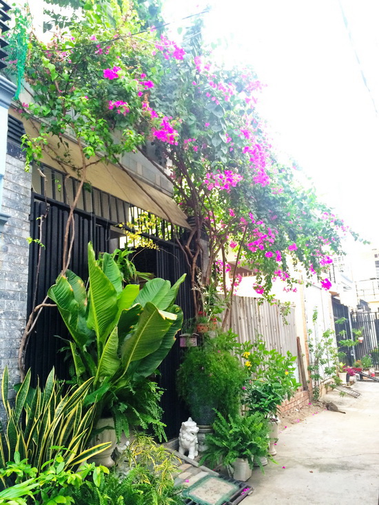 Nhà phố giả biệt thự sân vườn 3 lầu, đường Huỳnh Tấn Phát, Quận 7