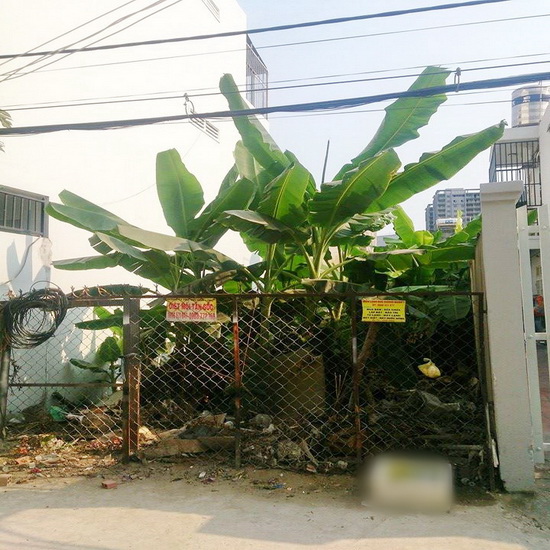 Bán gấp lô đất  5x20 hẻm 88 đường Nguyễn Văn Qùy, F. Phú Thuận Quận 7