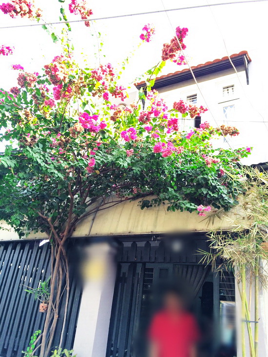 Cần bán gấp nhà 1 lầu đúc kiên cố hẽm 160 Nguyễn Văn Quỳ , Quận 7 (Hẻm 5m). giá 1.55 tỷ