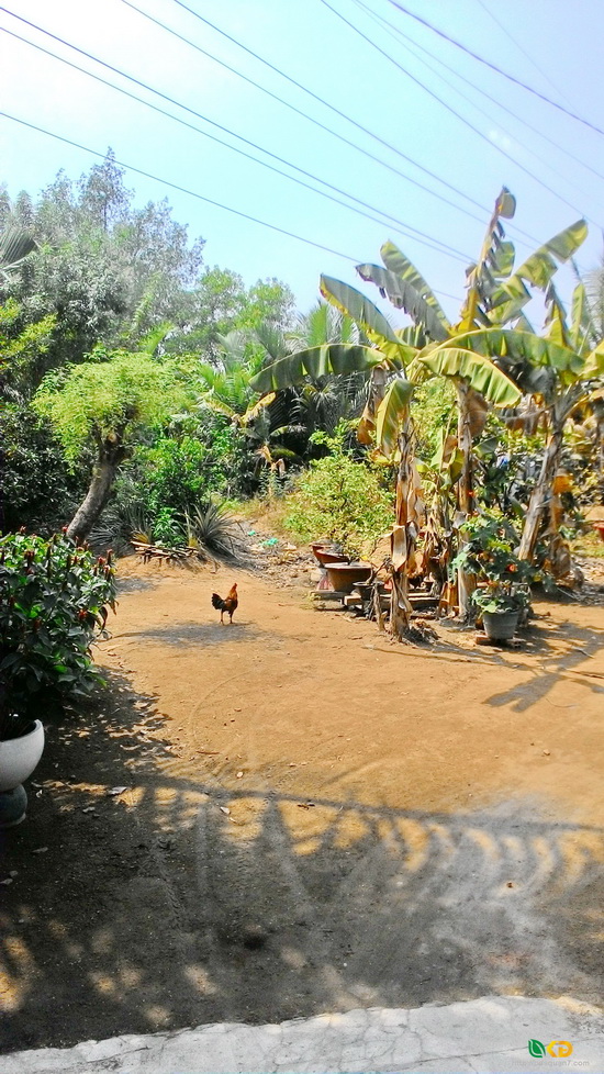 Bán lô đất diện tích lớn 1112m², hẻm 1902 Huỳnh Tấn Phát, Quận 7