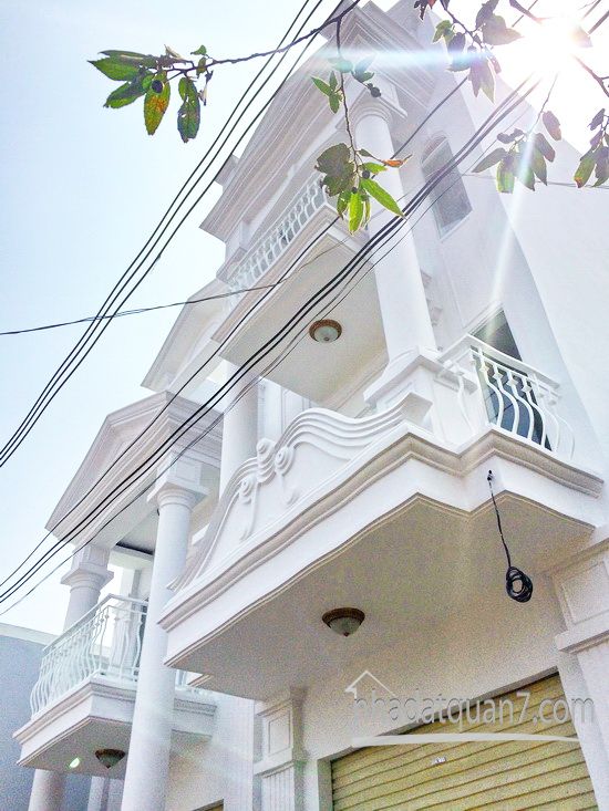 Bán nhà phố hiện đại giả biệt thự mặt tiền hẻm nhựa 8m đường Bùi Văn Ba, P. Tân Thuận Đông, Q.7