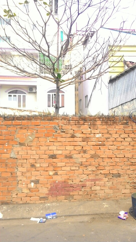 Bán lô đất hẻm 8m đường Nguyễn Văn Linh, P.Bình Thuận, Quận 7