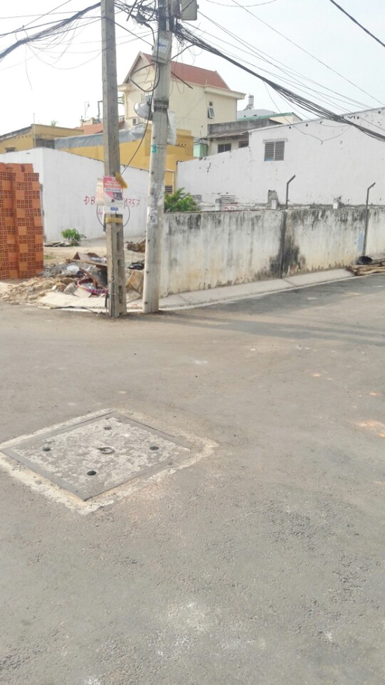 Đất mặt tiền cạnh Lotte Mart. Bán đất mặt tiền đường số 8, P.Tân Quy, Quận 7