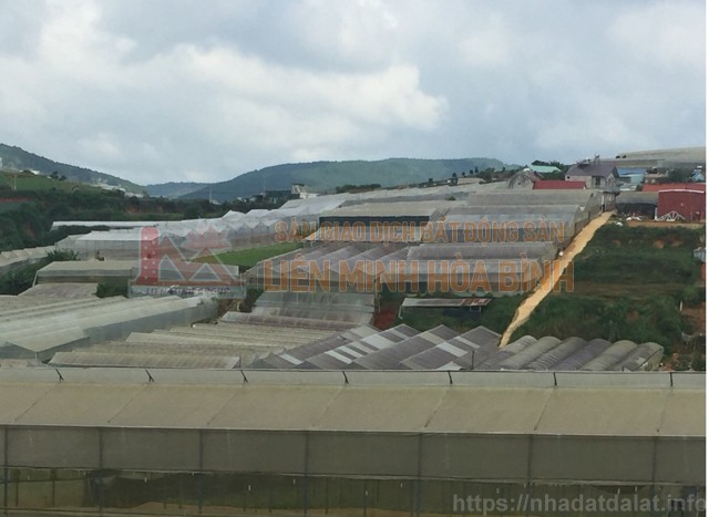 Cần bán nhanh lô đất đường Cao Thắng, P7, TP Đà Lạt