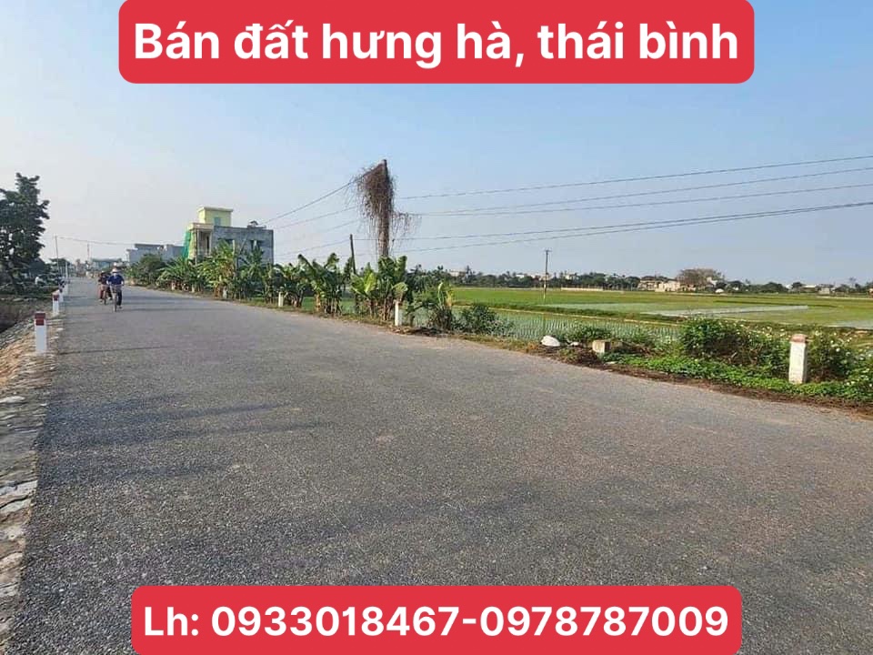 Bán đất xã tây đô, hưng hà, thái bình trục huyện 3000m2-2tr/m2-0933018467-0978787009